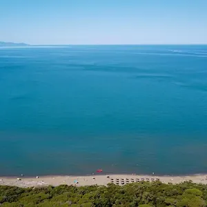 https://hotel-le-palme-albinia.it-tuscanyhotel.com
